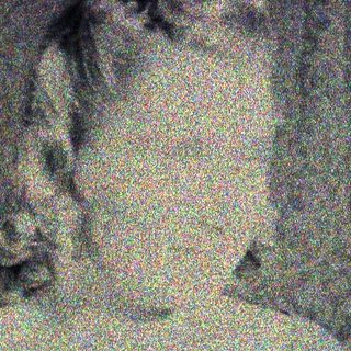 Here's a brief summary of the image: Faded portrait of a person with ornate wallpaper background.