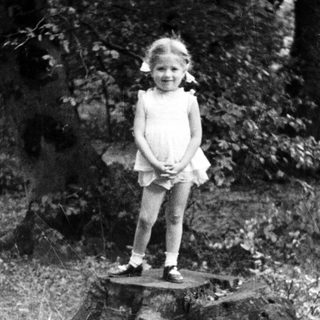 Here's a brief summary of the image: Young girl stands on a tree stump in a wooded area.