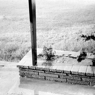 Rustic stone steps with wooden railing overlooking grassy hillside.