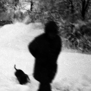 Silhouette of person walking dog in snowy forest.