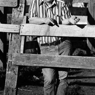 Man in striped shirt posing on wooden fence.