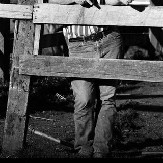 Man in striped shirt posing on wooden fence.