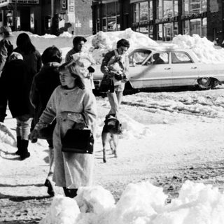 Heavy snowstorm blocks city street and buildings.
