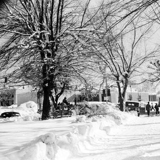 Snow-covered urban street with bare trees and pedestrians.
