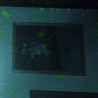 Blurry reflection of two people through rain-streaked glass.