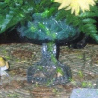 Vibrant floral arrangement on decorative mosaic table base.