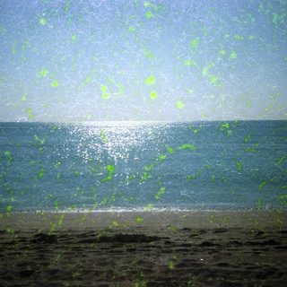 Sunlit beach with waves and green sea foam.