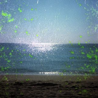 Beach with green-tinted bubbles and sunlight reflecting on water.