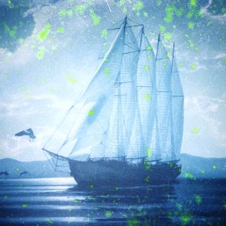 A vintage sailing ship on calm seas with seagull.