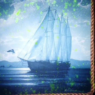 A vintage sailing ship on calm seas with seagull.