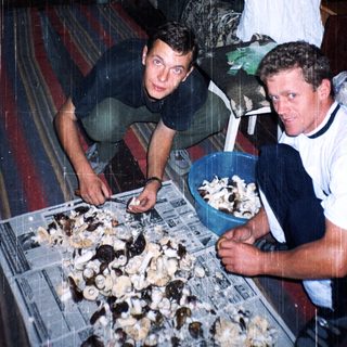 Two men preparing oysters indoors during heavy rain.