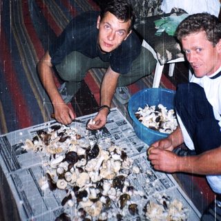 Two men preparing oysters indoors during heavy rain.