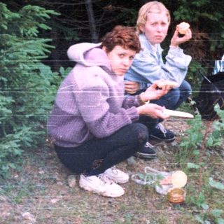 People foraging or gathering in a wooded area.