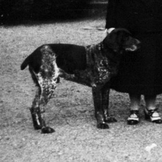 Family portrait with dog in early 20th-century garden setting.
