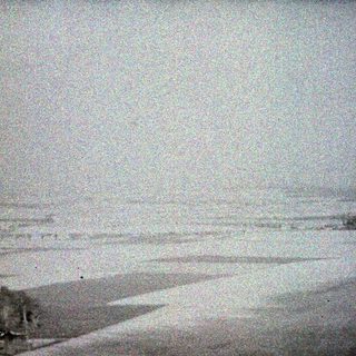 Monochrome landscape with trees, fields, and distant structures.