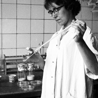 Scientist working in a lab with petri dishes.