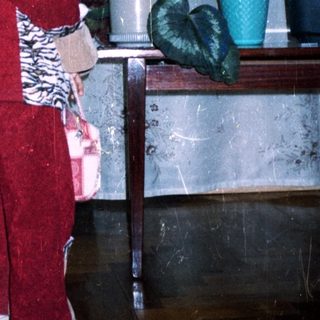 Child in red suit stands near plants, indoors.