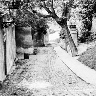 Here's a brief summary of the image: A narrow, cobblestone path lined with trees and walls.