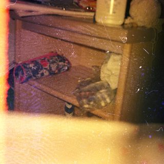 Cat rests on a shelf in a dimly lit room.