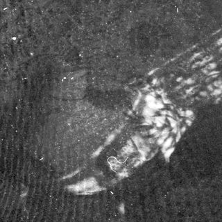 Dark, distressed surface with visible scratches and discoloration.