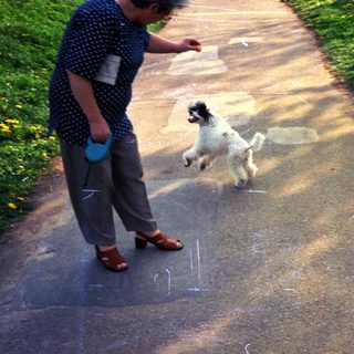 Person and dog on a path in a grassy area.