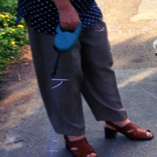 Person and dog on a path in a grassy area.