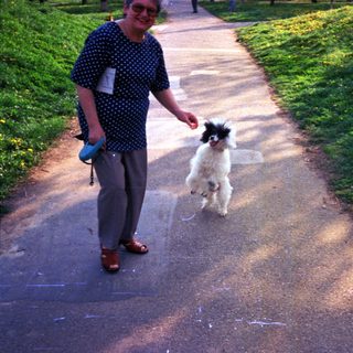 Woman walks a small dog on a sunny path.