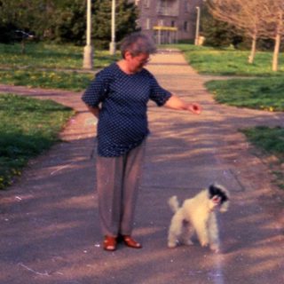 Person walking a dog on a path near buildings.