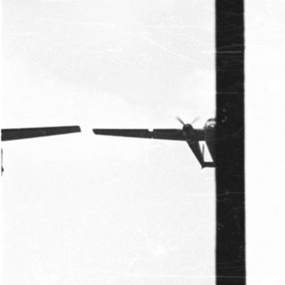 Here's a brief summary of the image: Black birds fly across a bright, white sky.
