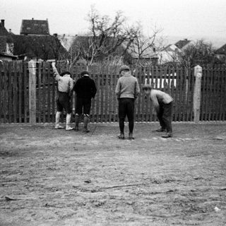 Three boys stand behind a wooden fence in a yard.
