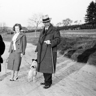 Three people and a dog walk along a country road.