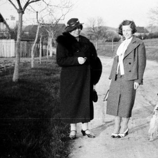 Three people and a dog walk along a country road.