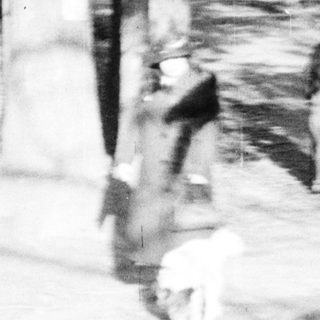 People and a dog walking on a tree-lined path.