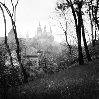 Black and white image of a castle through trees.