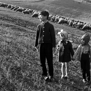 Three children and sheep walk across a grassy hillside.
