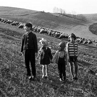 Three children and sheep walk across a grassy hillside.