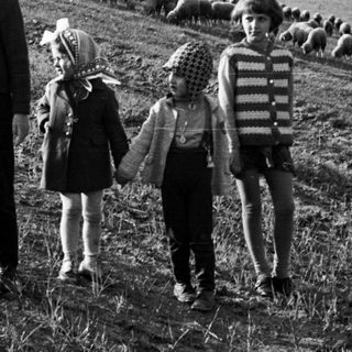 Three children and sheep walk across a grassy hillside.