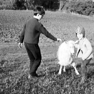 Three children playing with a goat in a grassy field.