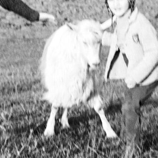 Three children playing with a goat in a grassy field.