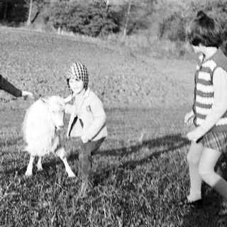 Three children playing with a goat in a grassy field.