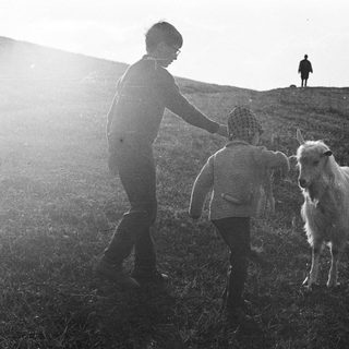 Boy and goat on a hillside with a figure in distance.