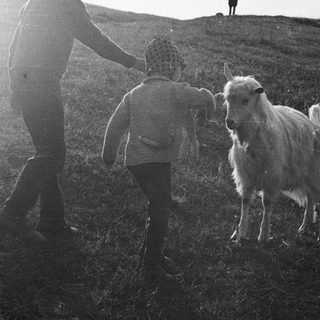 Boy and goat on a hillside with a figure in distance.