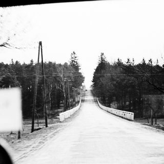 Road leading over a bridge through a forest.