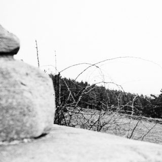 Black and white image shows a field and trees.