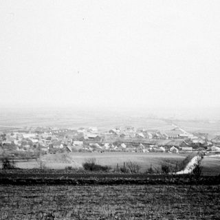 Black and white photo shows a village landscape and fields.