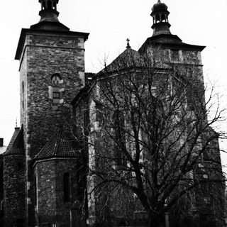 Stone church with towers and bare tree in foreground.