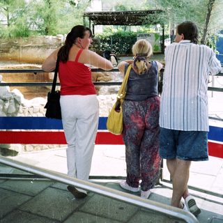 People observe animals behind a barrier, possibly at a zoo.