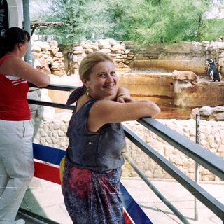 Woman viewing penguins in an enclosure at a zoo.