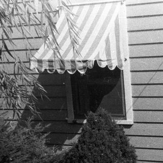Man stands near a house with awnings and greenery.