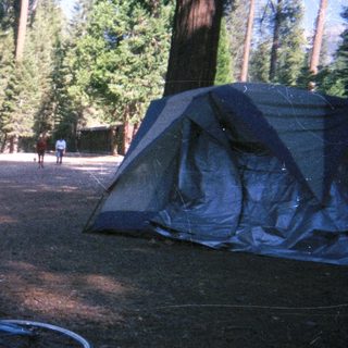 Man sits near tent in a wooded campsite.